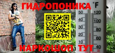 мдма Камышлов