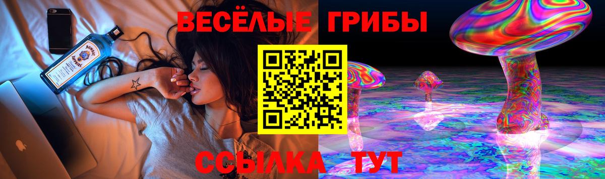 Галлюциногенные грибы Psilocybe  Вход с VPN  Красноярск  Псилоцибиновые грибы прущие грибы 